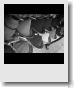 Mettre une image en noir et blanc avec gimp - Linux